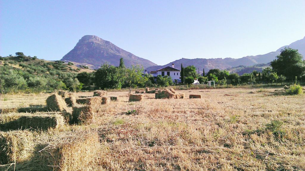 Casa Rural Huerta La Terrona